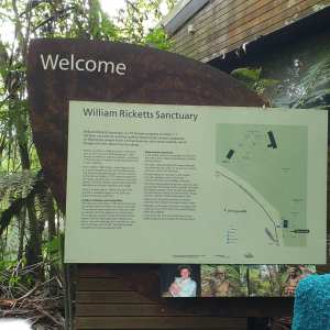 Inspired By Begonias - Melbourne Begonia Convention 2020