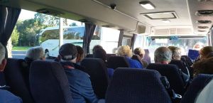 Inspired By Begonias - Melbourne Begonia Convention 2020