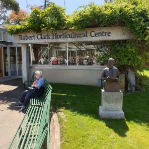 Inspired By Begonias - Melbourne Begonia Convention 2020