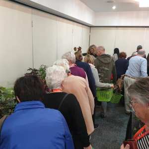 Inspired By Begonias - Melbourne Begonia Convention 2020
