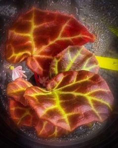 <!--B. unknown Vote For Me-->